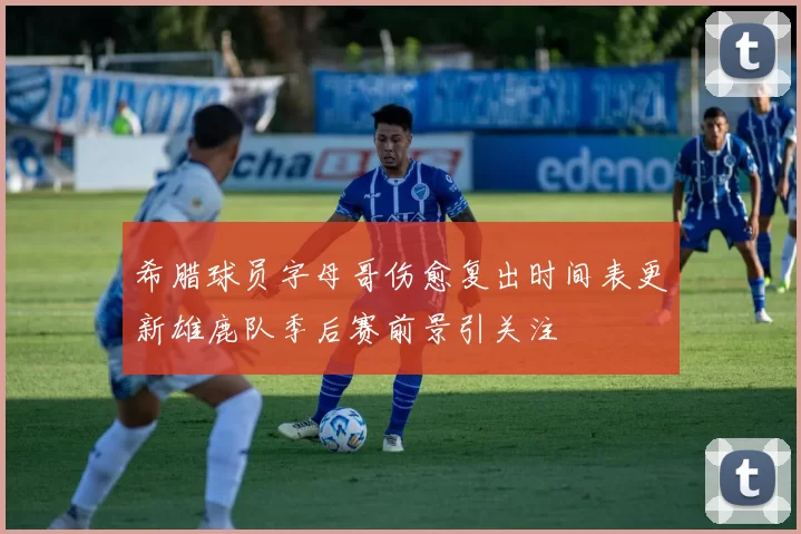 希腊球员字母哥伤愈复出时间表更新雄鹿队季后赛前景引关注