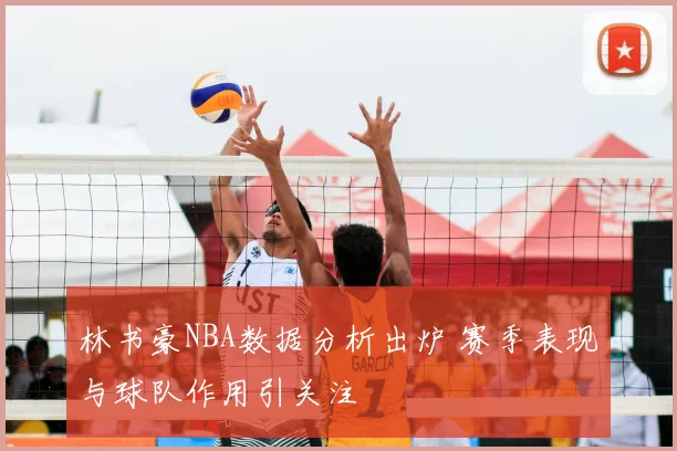 林书豪NBA数据分析出炉 赛季表现与球队作用引关注