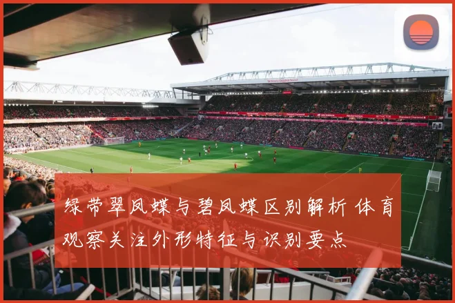 绿带翠凤蝶与碧凤蝶区别解析 体育观察关注外形特征与识别要点