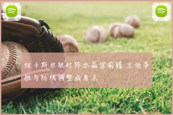 纽卡斯尔联对阵水晶宫前瞻 主场争胜与防线调整成看点
